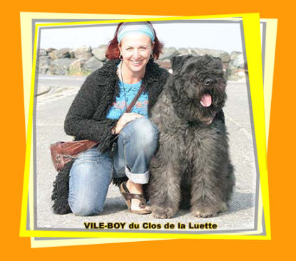 Bouvier des Flandres photo  -  Elevage du Clos de la Luette - Copyright dpos