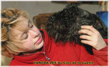 Bouvier des Flandres photo  -  Elevage du Clos de la Luette - Copyright dpos