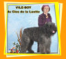 Bouvier des Flandres : travail - selection - expositions canines - resultats