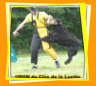 Bouvier des Flandres et travail RCI